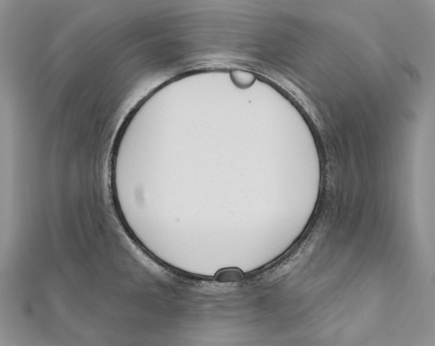 X0000110961285200907171642