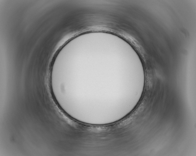 X0000110961286200907171642