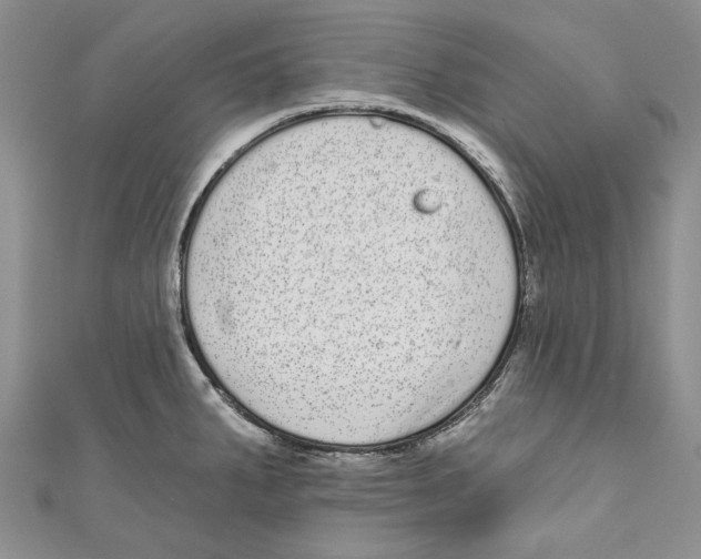 X0000110961287200907171642