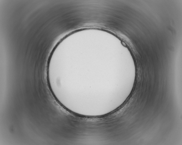 X0000110961288200907171642