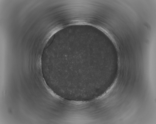 X0000110961289200907171642