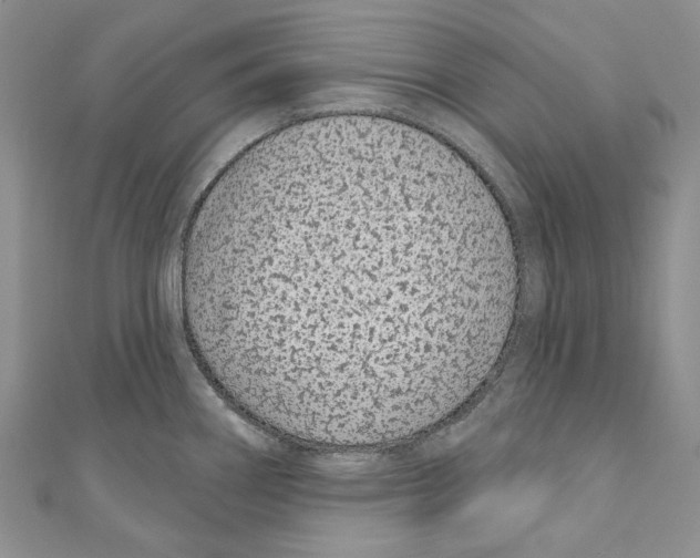 X0000110961290200907171642