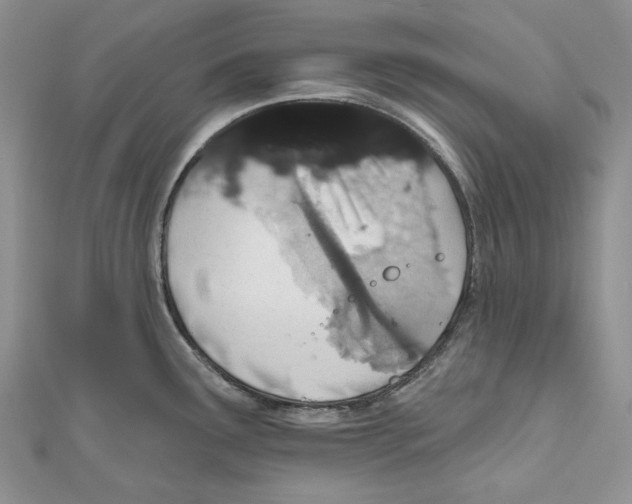 X0000110961291200907171642