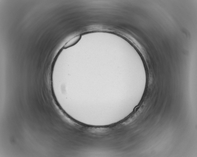 X0000110961293200907171642