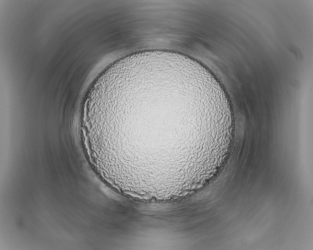 X0000110961294200907171642