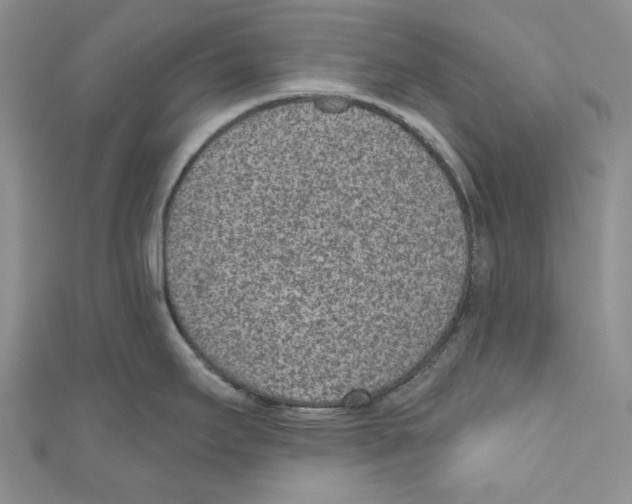 X0000110961295200907171642