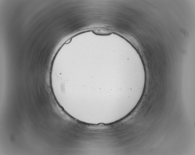 X0000110961296200907171642