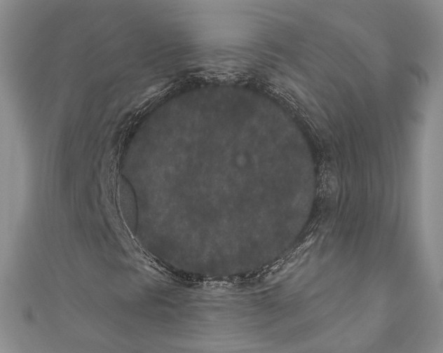 X0000110961297200907171641