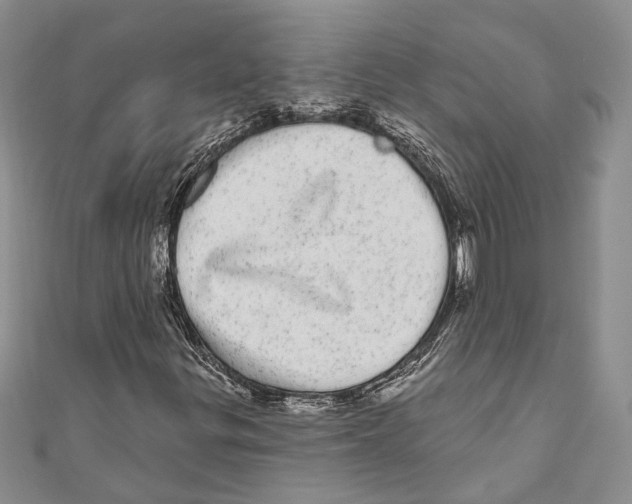 X0000110961299200907171641