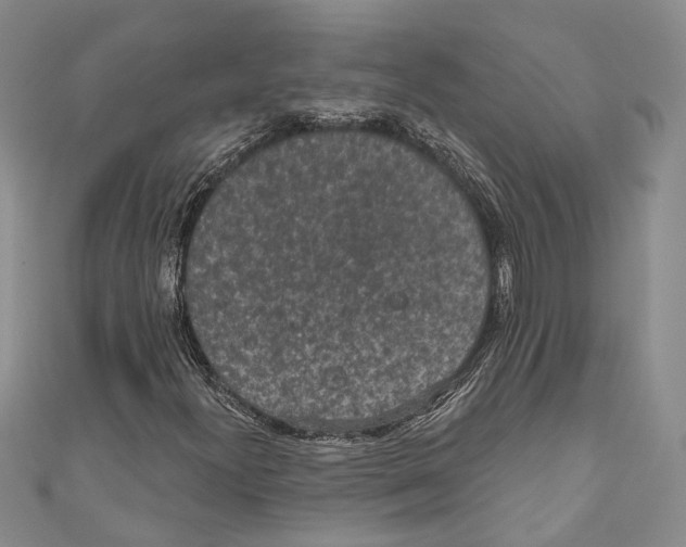 X0000110961300200907171641