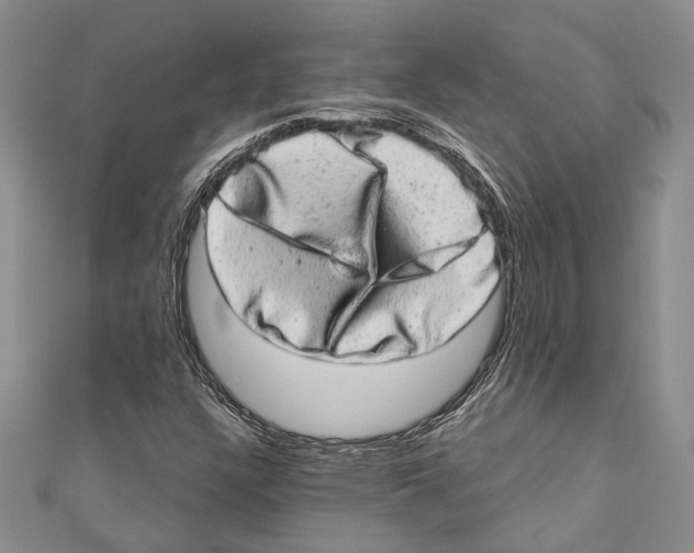 X0000110961304200907171641