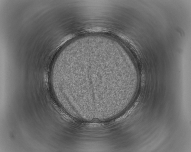 X0000110961305200907171641