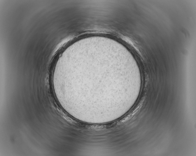 X0000110961307200907171641