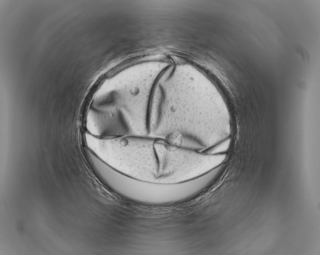 X0000110961308200907171641