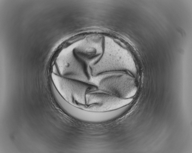 X0000110961310200907171641