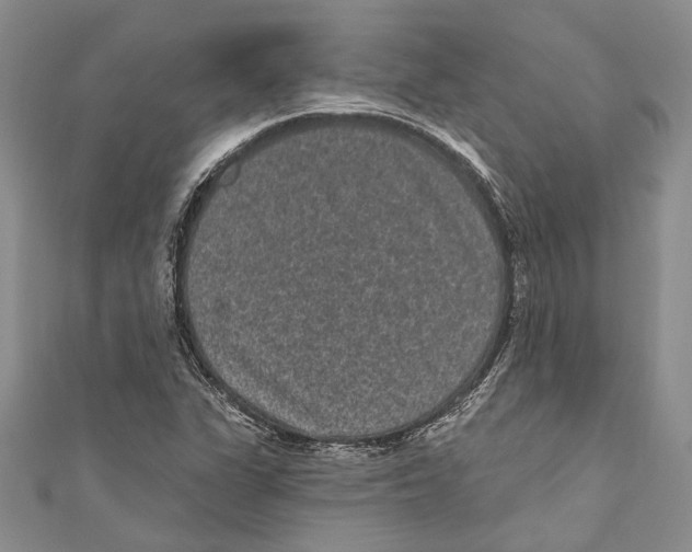 X0000110961311200907171641