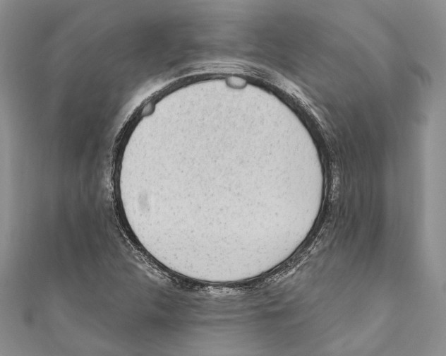 X0000110961312200907171641