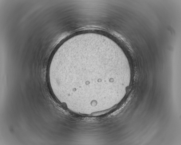 X0000110961313200907171641