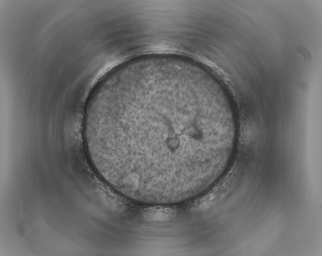 X0000110961314200907171641