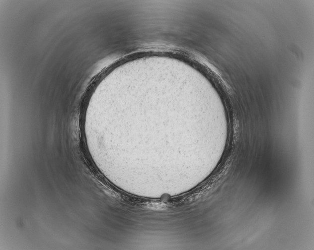 X0000110961315200907171641