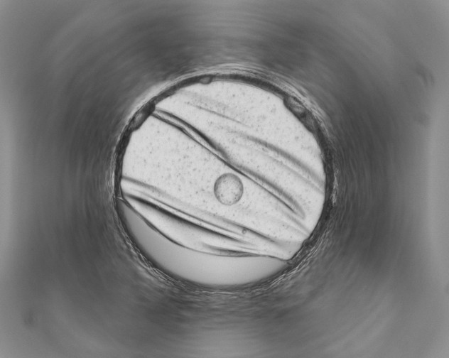 X0000110961316200907171641