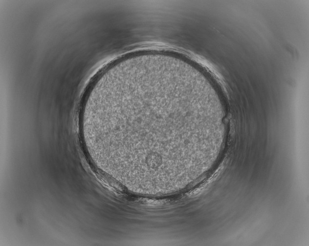 X0000110961318200907171641