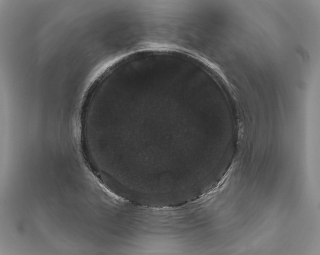 X0000110961319200907171641