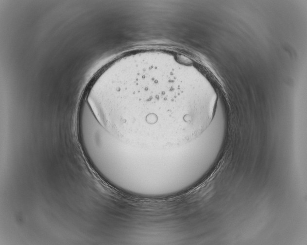 X0000110961320200907171641