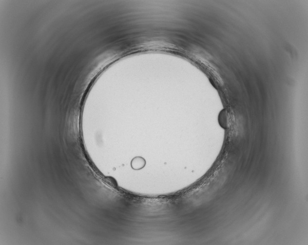 X0000110961322200907171641