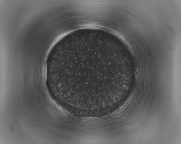 X0000110961323200907171641