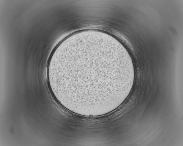 X0000110961324200907171641