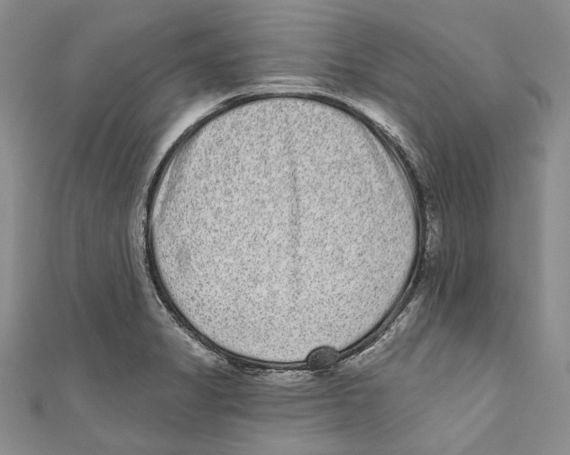 X0000110961325200907171641