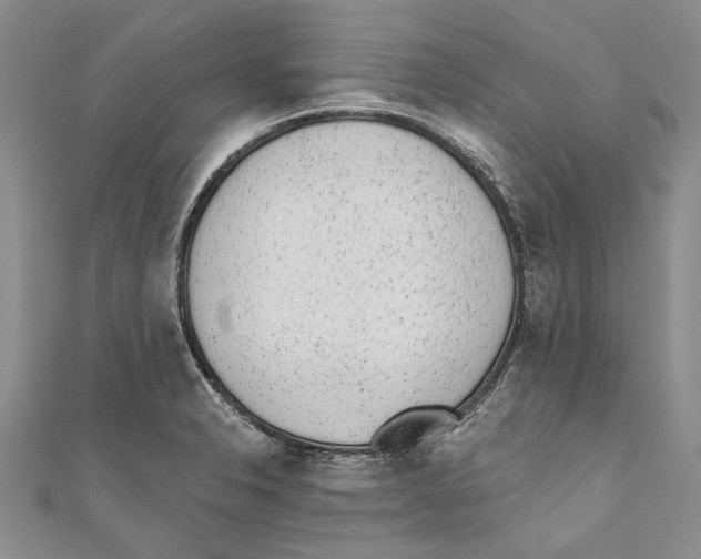 X0000110961326200907171641