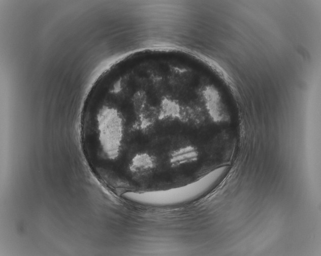 X0000110961327200907171641