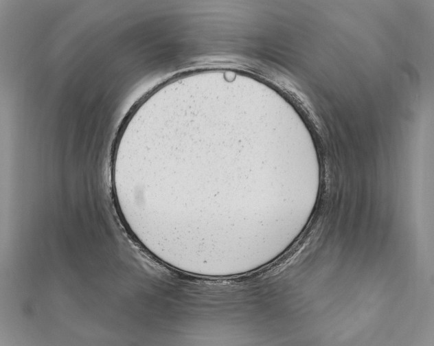 X0000110961328200907171641