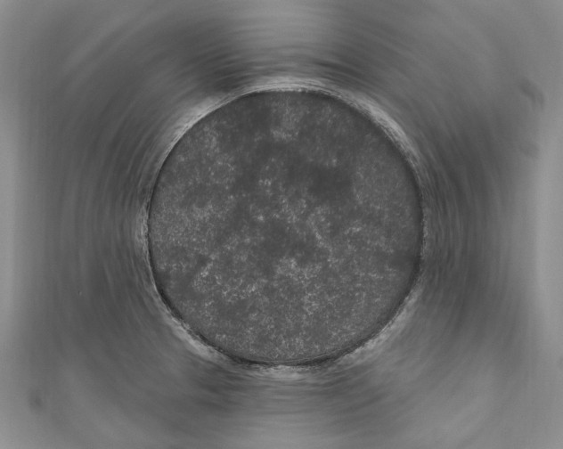 X0000110961329200907171642