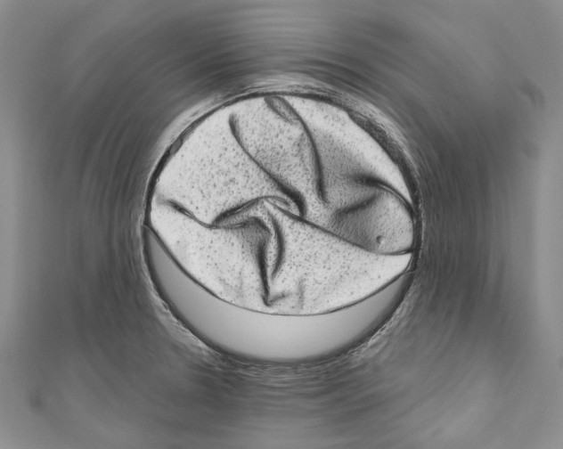 X0000110961330200907171642