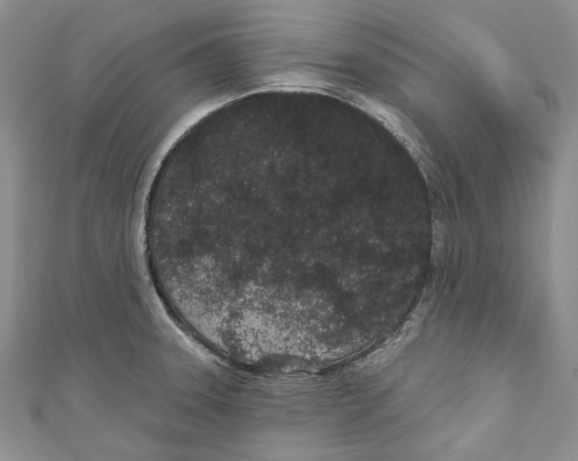 X0000110961331200907171642