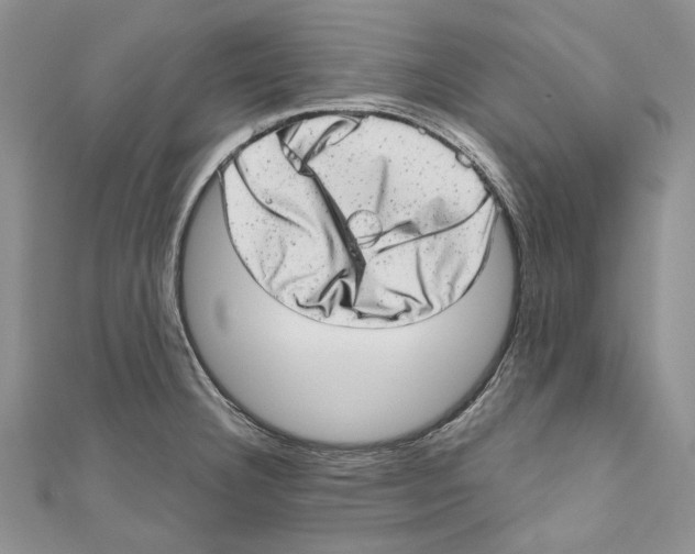 X0000110961332200907171642