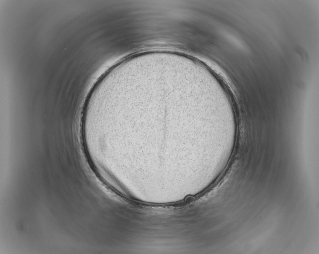 X0000110961333200907171642