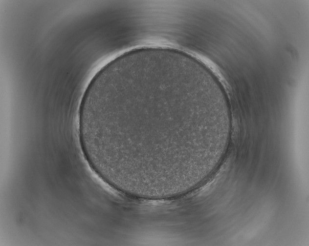 X0000110961335200907171642