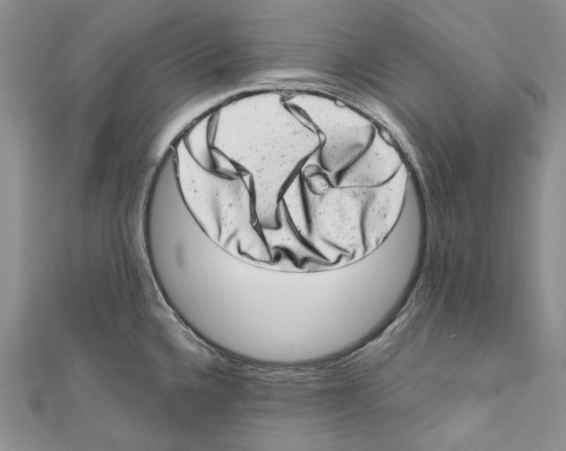 X0000110961336200907171642