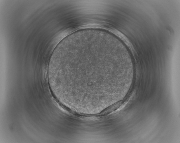 X0000110961337200907171642