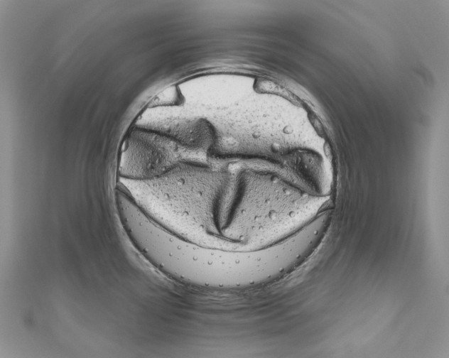 X0000110961338200907171642