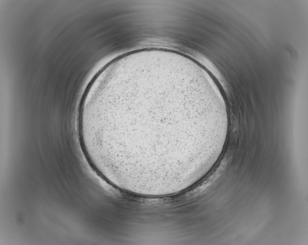 X0000110961339200907171642