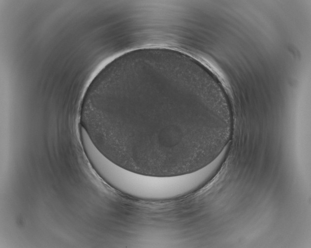 X0000110961340200907171642