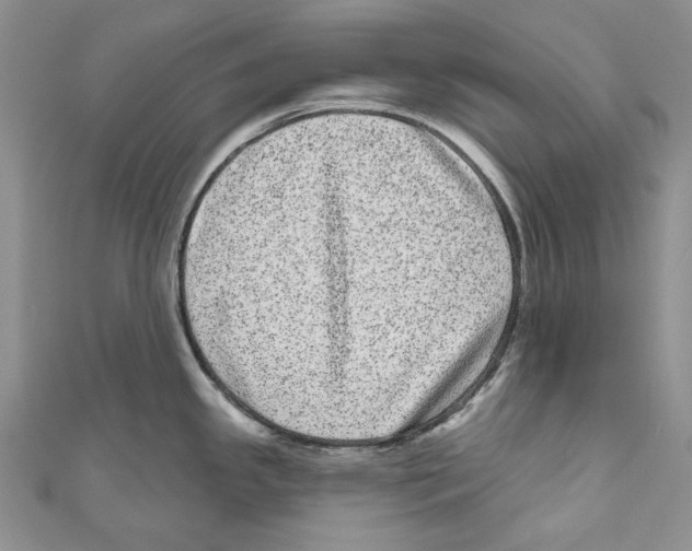 X0000110961341200907171642