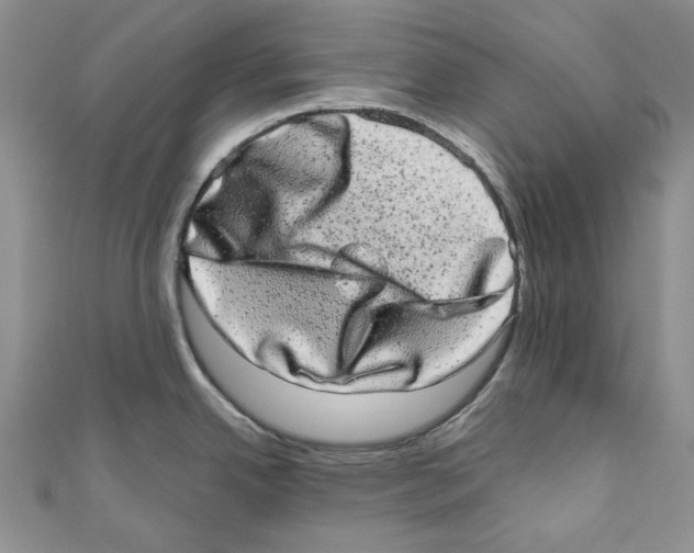 X0000110961342200907171642