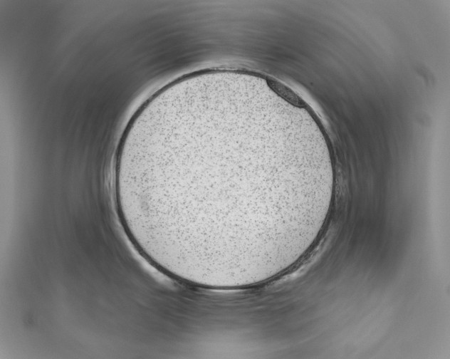 X0000110961343200907171642