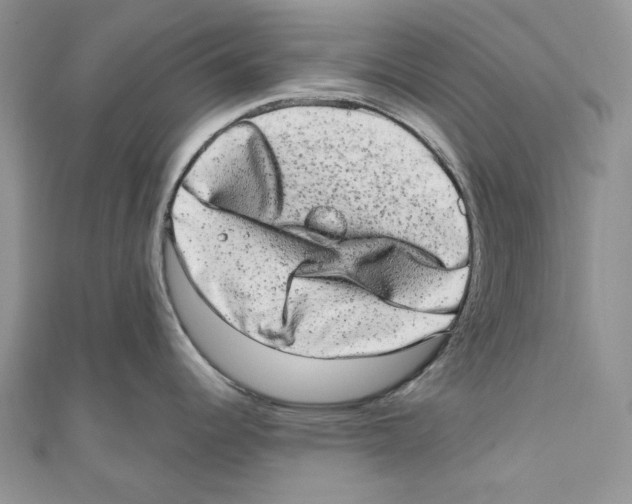 X0000110961344200907171642